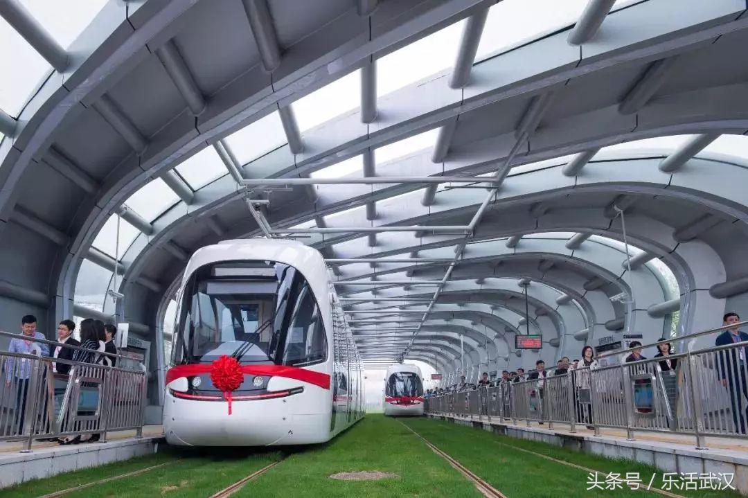 武汉期待已久的4月,武汉的四月是一个迷人的季节