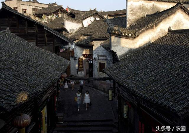 去乡下调研会遇到哪些问题,去农村旅游的注意事项