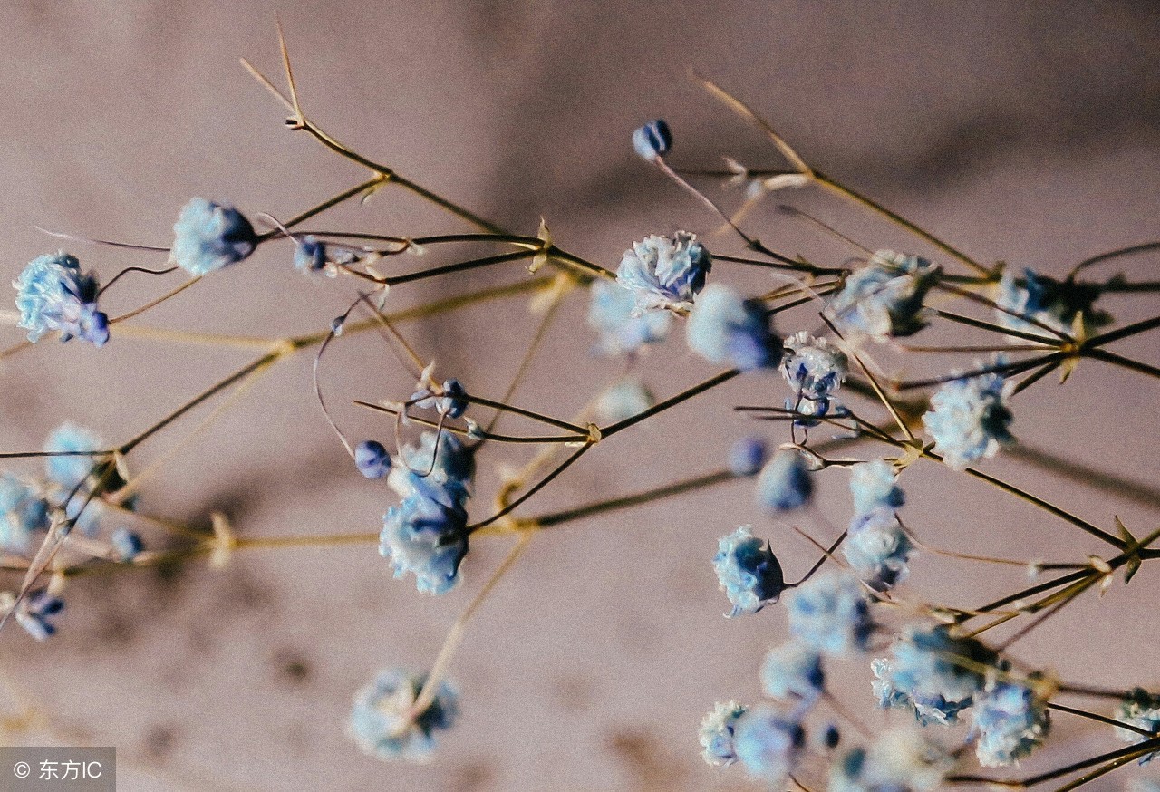 才华横溢令人惊呆的诗,我见过最才华横溢的诗