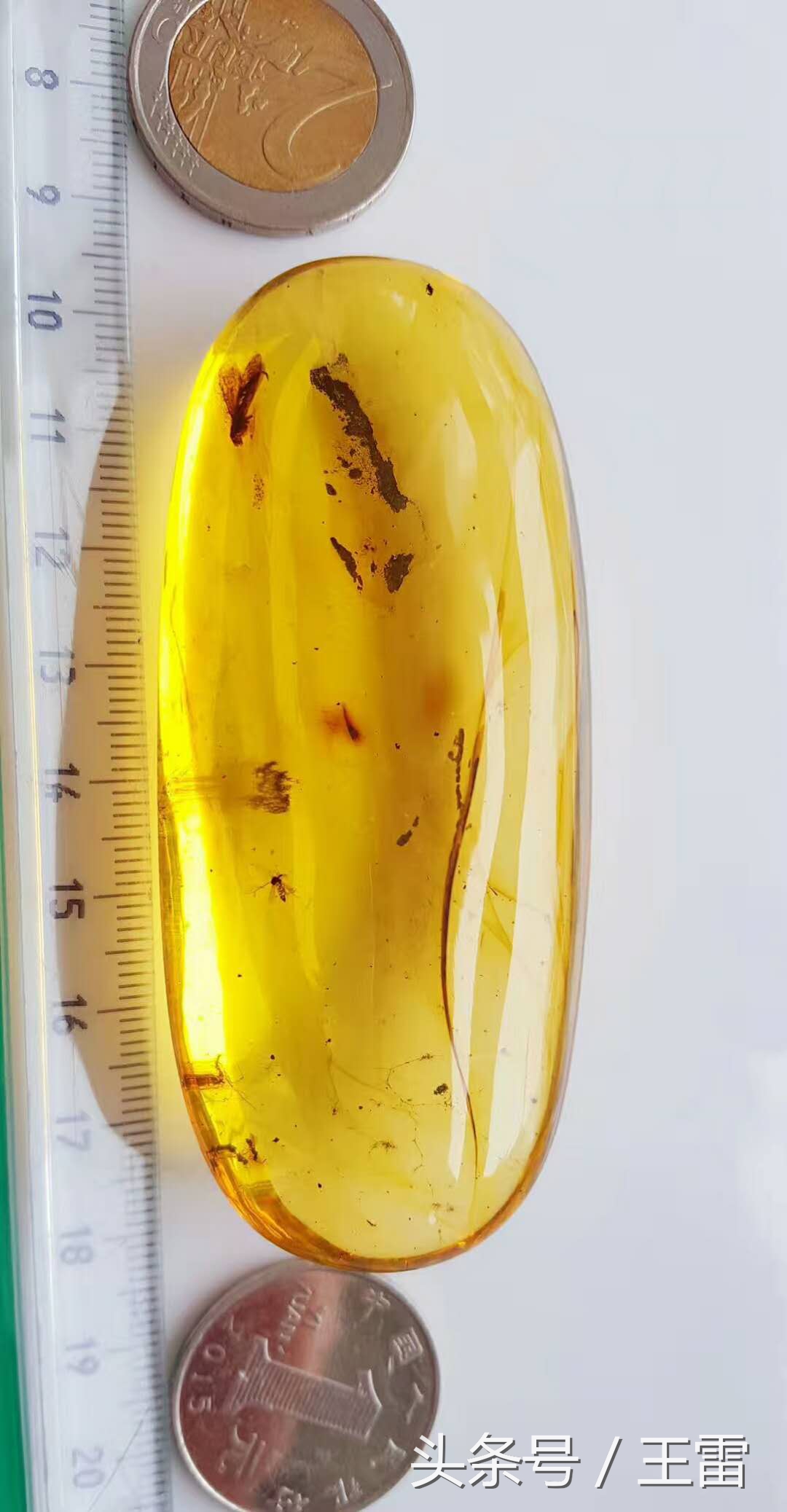 琥珀蜜蜡12种分类全解析,琥珀蜜蜡玛瑙科普