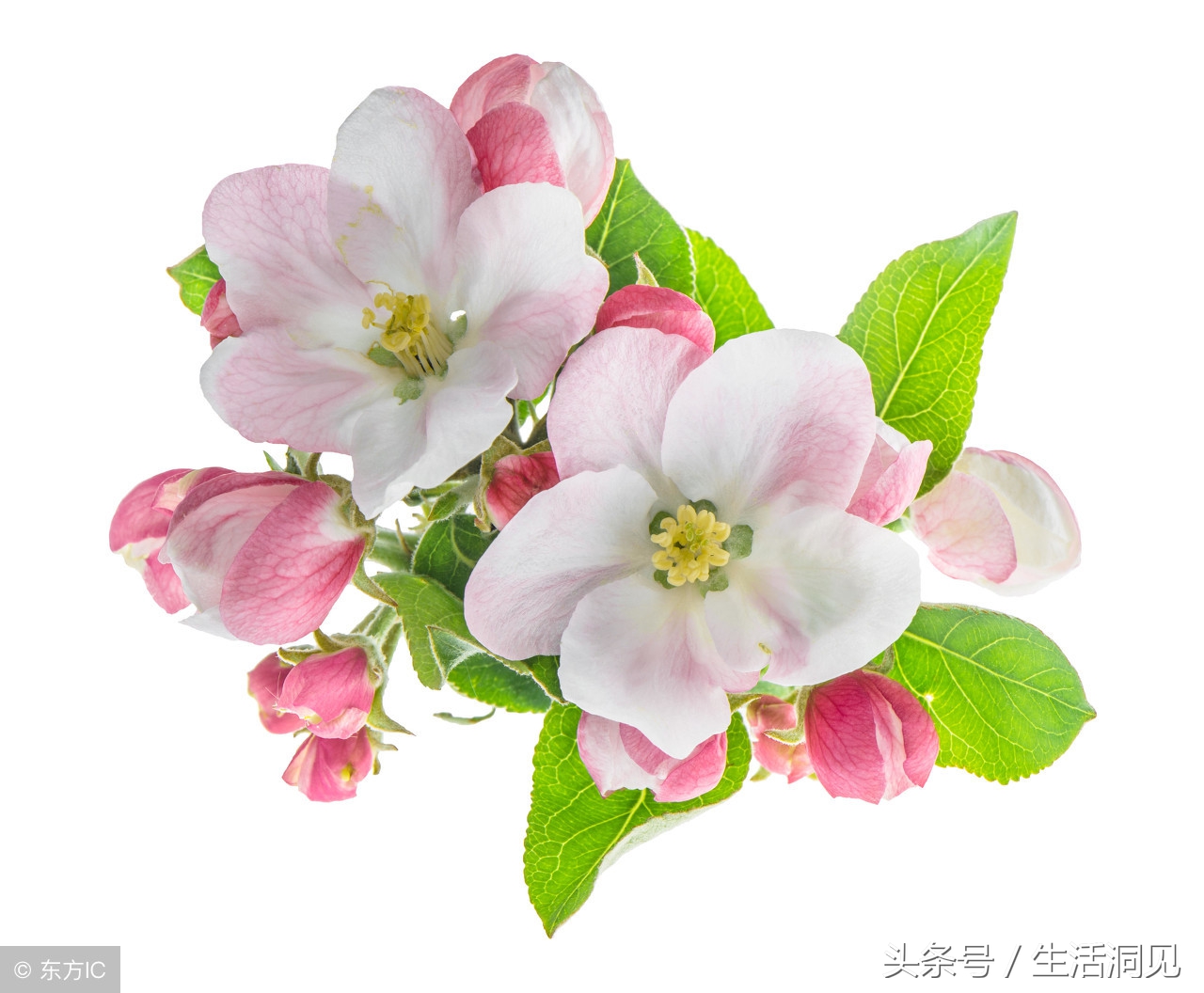 早上五点出生的人命运,五点生的男孩命运