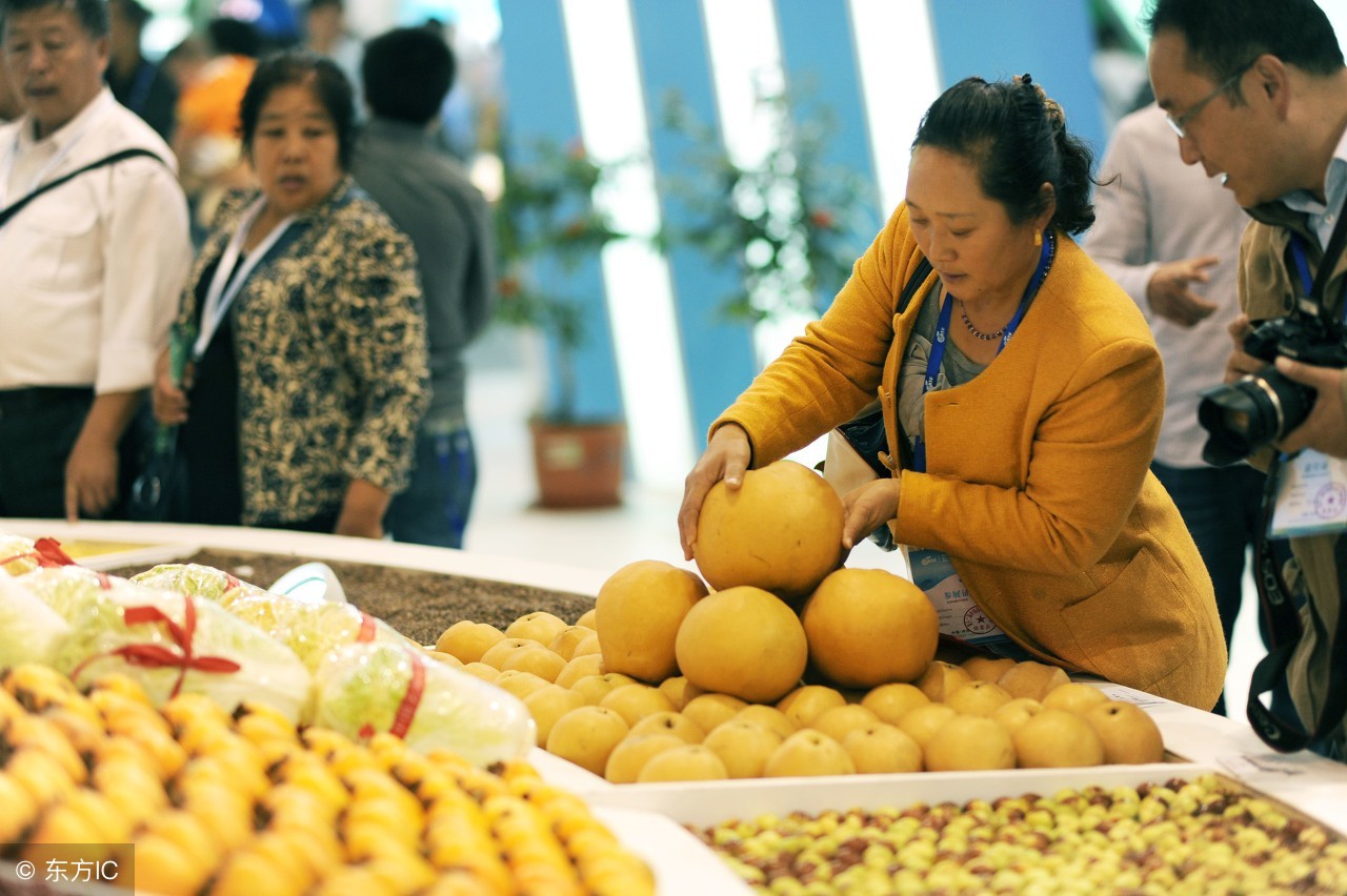 农产品的流通现状,天津互联网行业发展