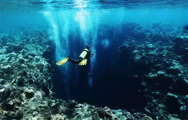 帕劳旅游攻略潜水点,帕劳自由行最值得去的潜水天堂