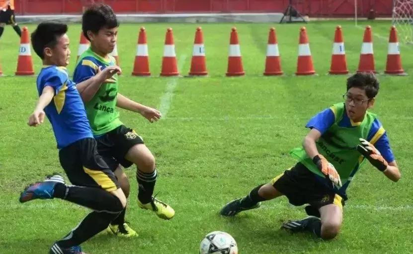 济宁城区俩高*特中**长生招生计划出炉！济宁一中90人、育才中学60人