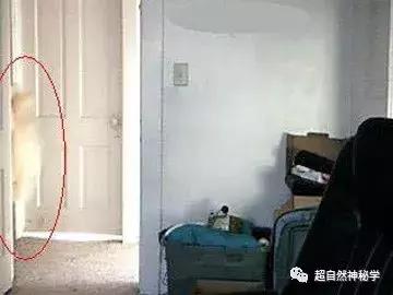 灵异事件30张恐怖照片,恐怖视频灵异事件合集