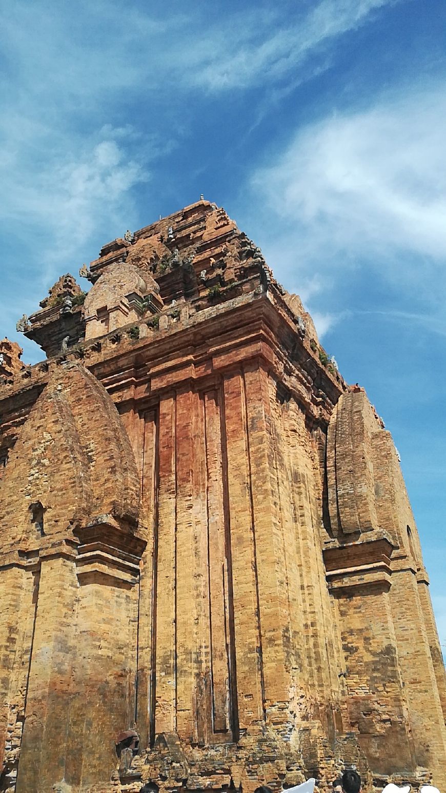 越南芽庄旅游骗局曝光,越南芽庄旅游团骗局