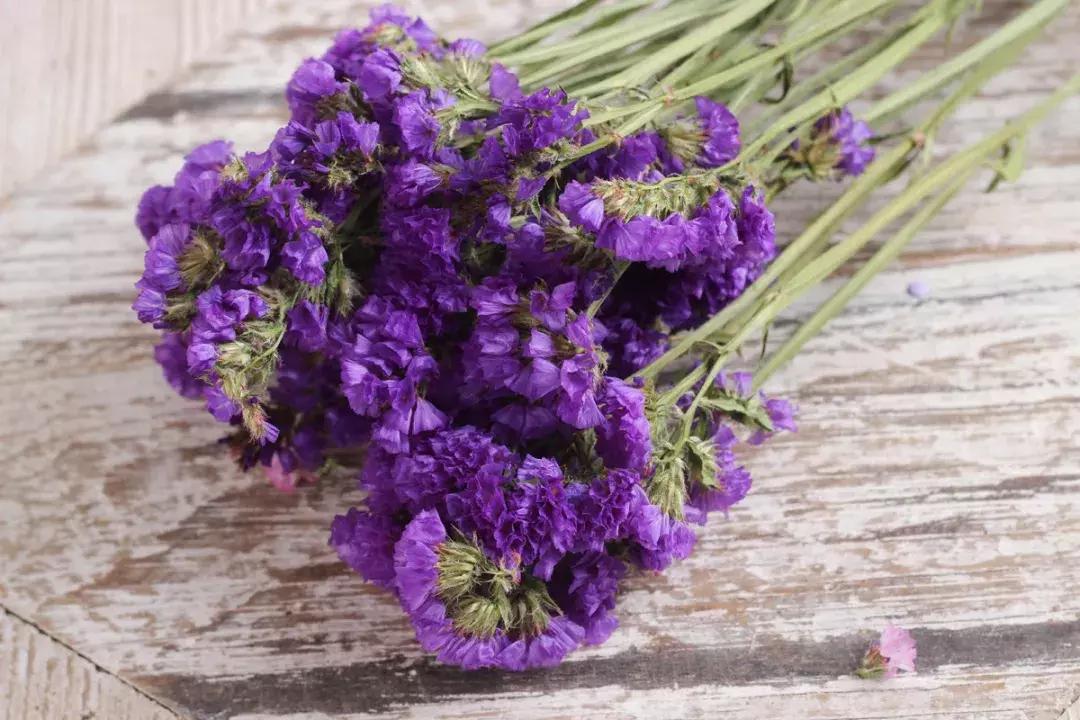 永生花插花制作方法,永生花制作教程520