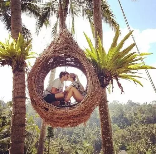 火爆INS的网红酒店都替你扒来了!|2018“滚床单”攻略来啦!