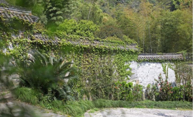 #爵色倾城#MG6和我的第一次春游