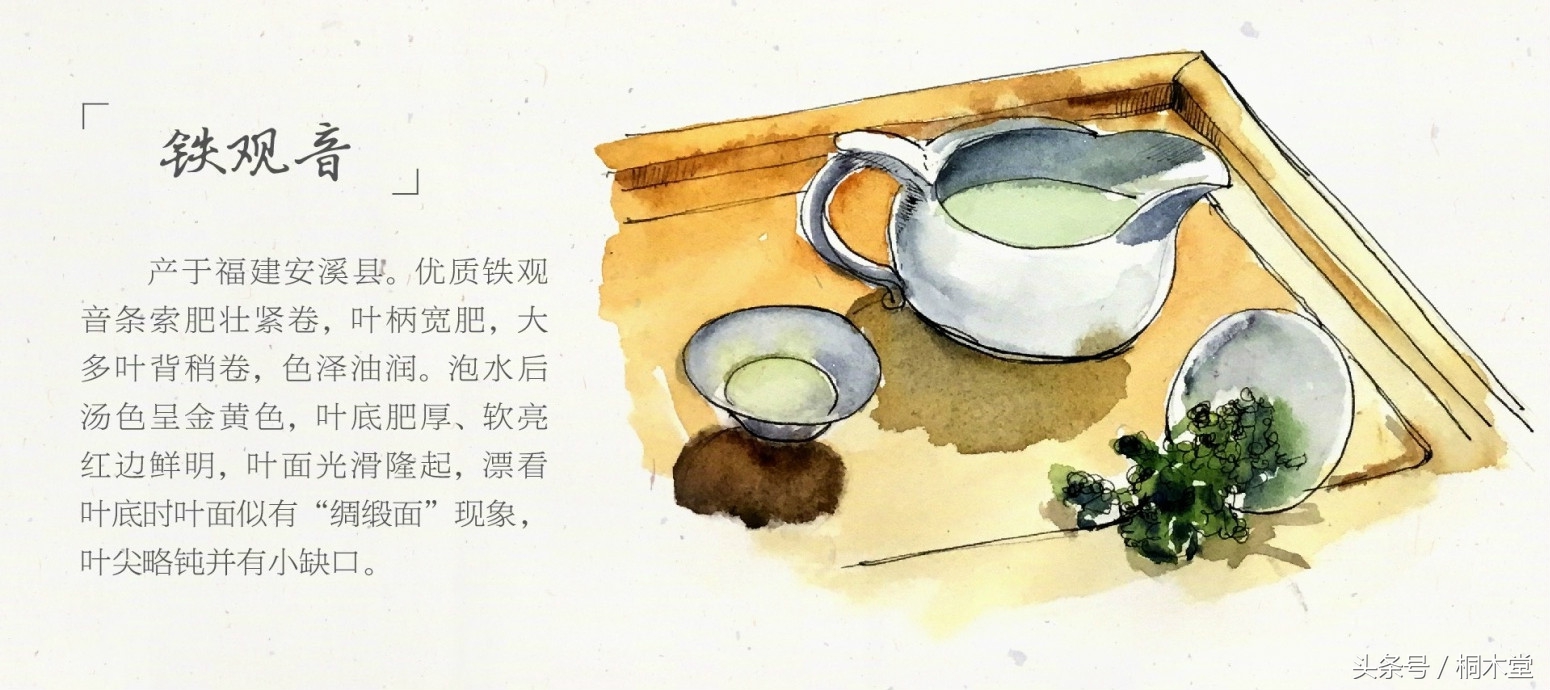 一张图读懂各种茶具,一张品茶实用图