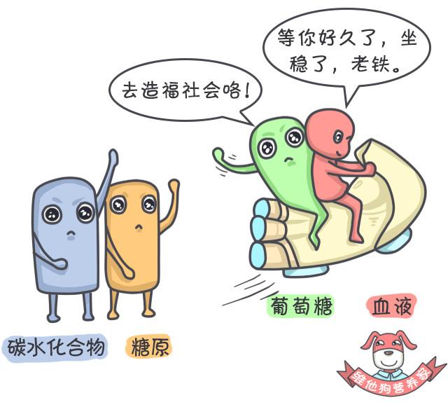 27万胖子用光吃不动的方法减了肥，你也一定想来试试