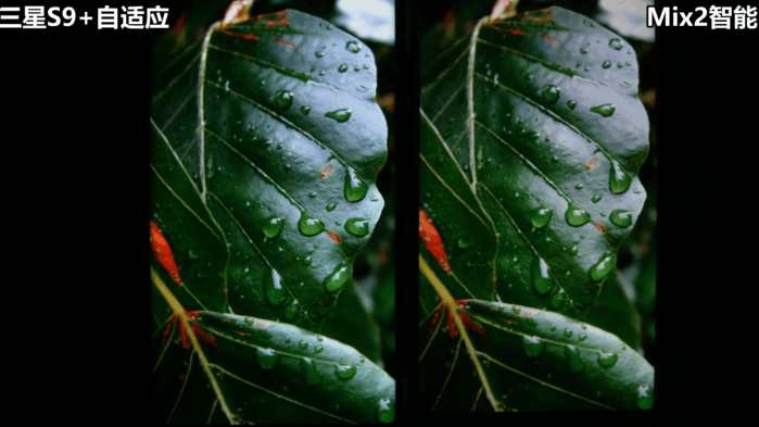 三星s9+简单介绍,三星s9+如何分辨原装机