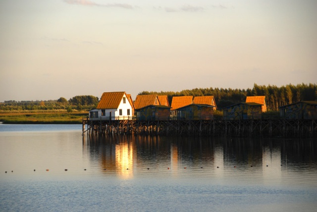 哈尔滨野狼湖，为东北最大的内陆平原湖，是野生狼栖息的天然场所