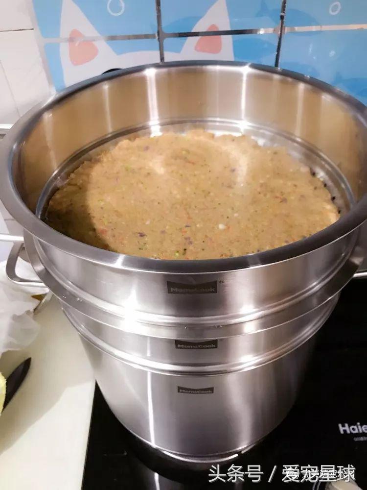 幼犬狗粮自制狗粮教程,怎么给狗自制狗粮器