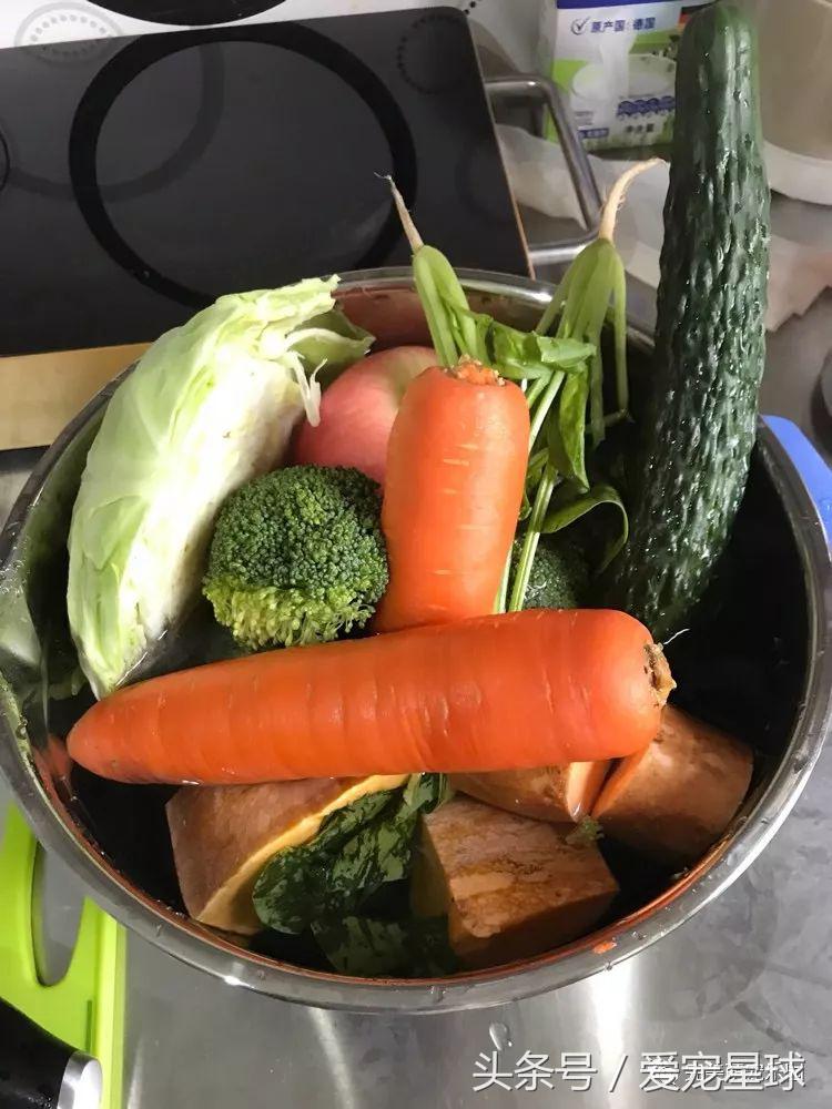 幼犬狗粮自制狗粮教程,怎么给狗自制狗粮器