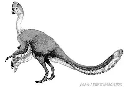 洗干净的恐龙,不可驯服的恐龙