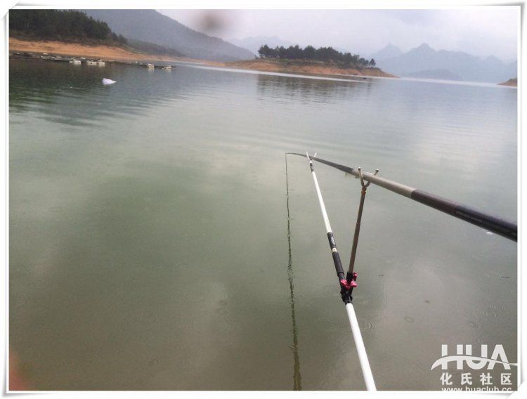 一味鲫有竿稍吗,一味鲫上鱼