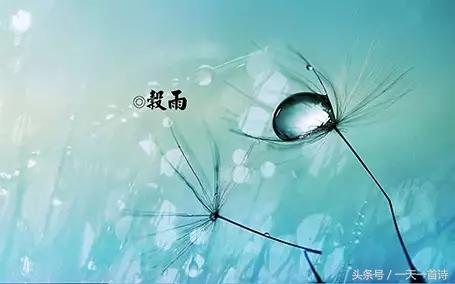 有关谷雨的来历和风俗,谷雨的来历和习俗教案