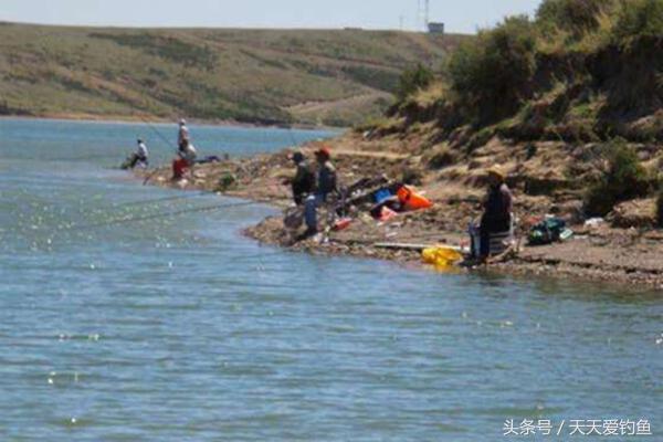 野钓流水钓鱼的正确方法和技巧,流水野钓技巧