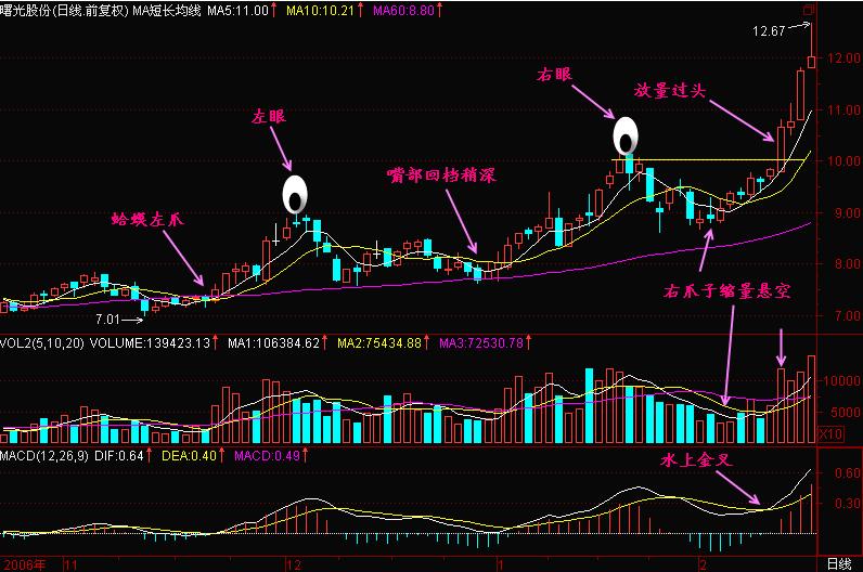 炒股实战技巧100招,炒股技巧视频大阳线
