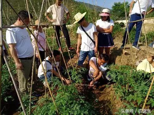 这家企业新模式，让农资店老板收入翻几倍加盟还送核心技术！