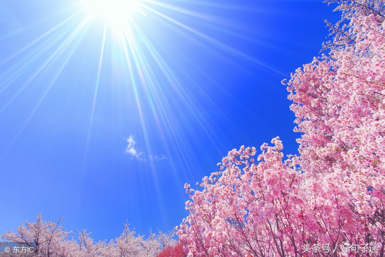 微信网名3个字男生网名霸气,微信网名2022最新版的男生