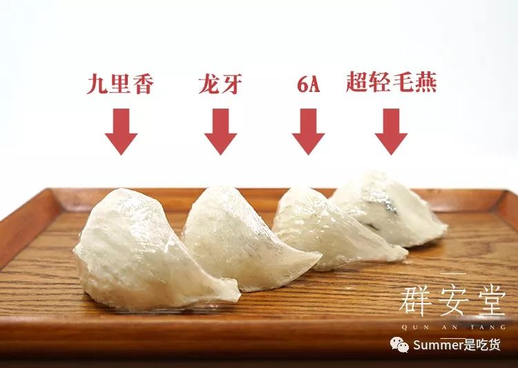 寻燕日记之关于燕窝的一些见解(二)