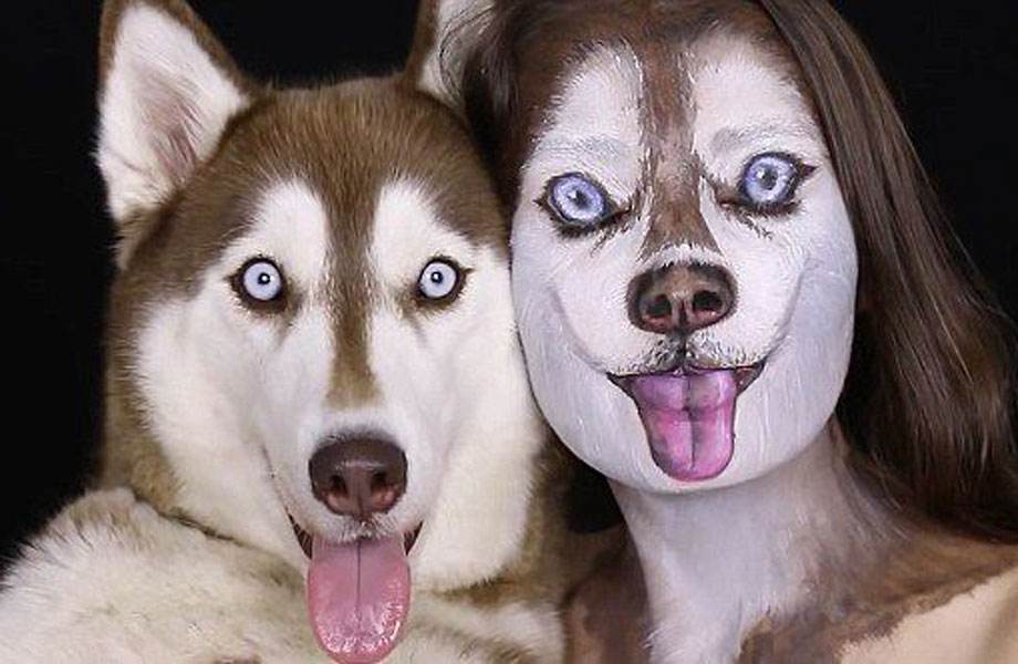 哈士奇和西伯利亚雪橇犬区别,哈士奇与西伯利亚雪橇犬区别