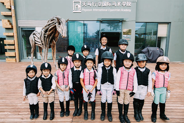 天空中那匹“不同”的马，一位马术俱乐部经营者的心声