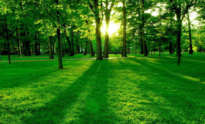 为什么无硅油的洗发水用透明瓶装,什么洗发水是无硅