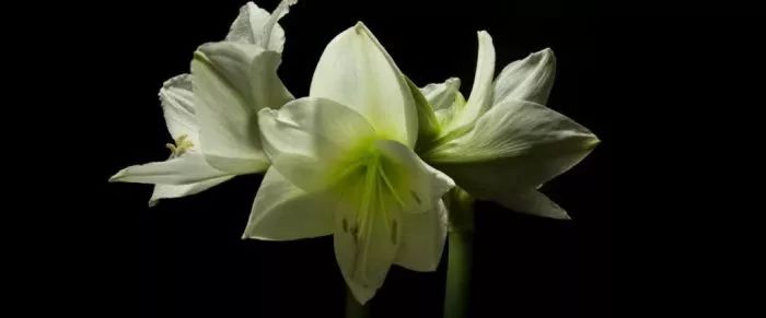 纽约公共艺术作品指南，在不经意间遇上艺术