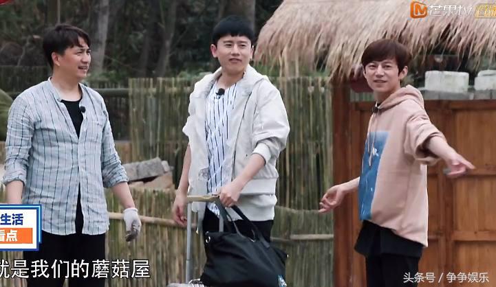 张杰用方言说话被何炅一秒认出,张杰参加节目全程说英语还被认出