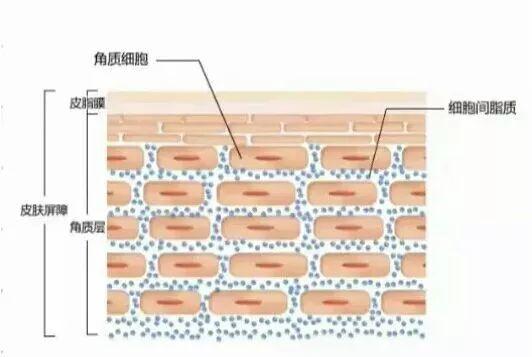 烂脸肿眼变猪头？舒淇吴昕倪妮纷纷躺枪的过敏肌怎么这么难对付？