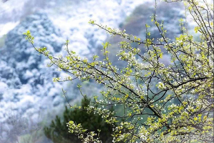 镇巴，你的世界我们来过，自然而然的美到心里