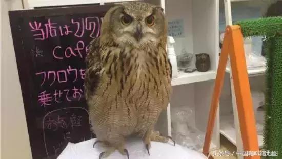 咖啡地图｜24小时不眠不休的奇妙咖啡馆之旅