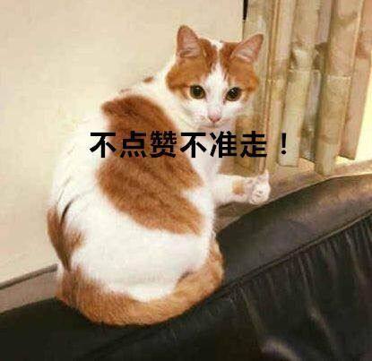 梦幻西游09凌波伤害,梦幻西游凌波平民装备