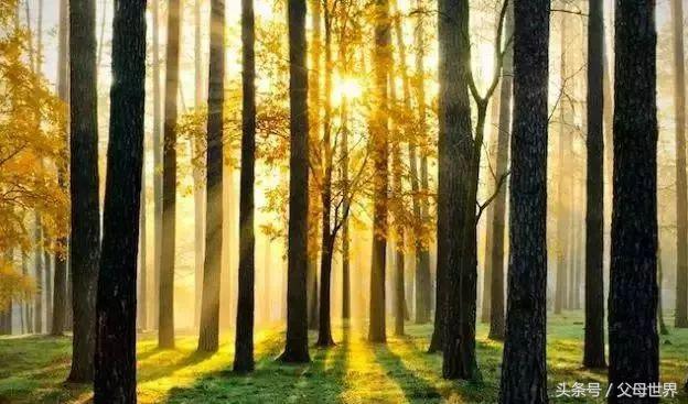 世界地球日，最适合孩子看的18部自然纪录片，趁周末，带娃看起来