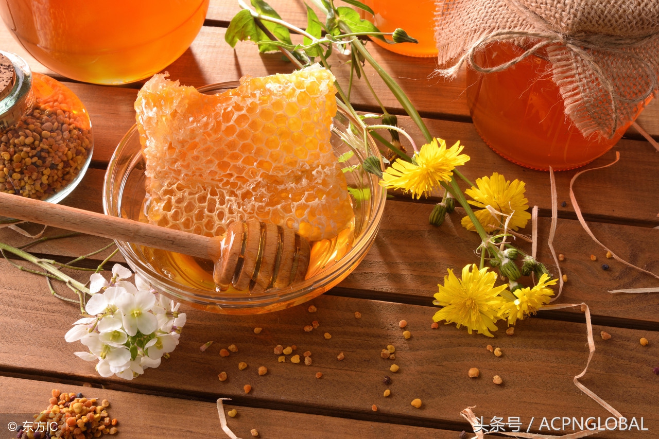 寻蜜记蜂蜜,觅甜记甜品