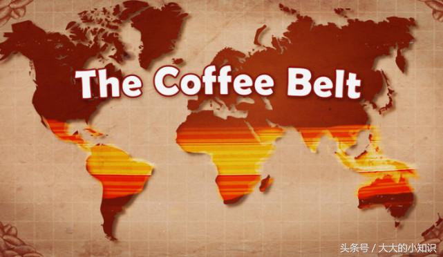 巴西的咖啡最出名吗？非洲的咖啡最好喝吗？