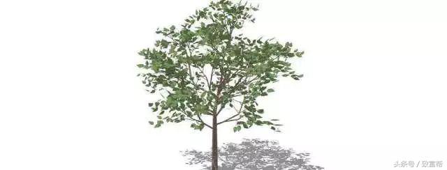 过去热门的免费致富点子,过去有哪些致富好项目