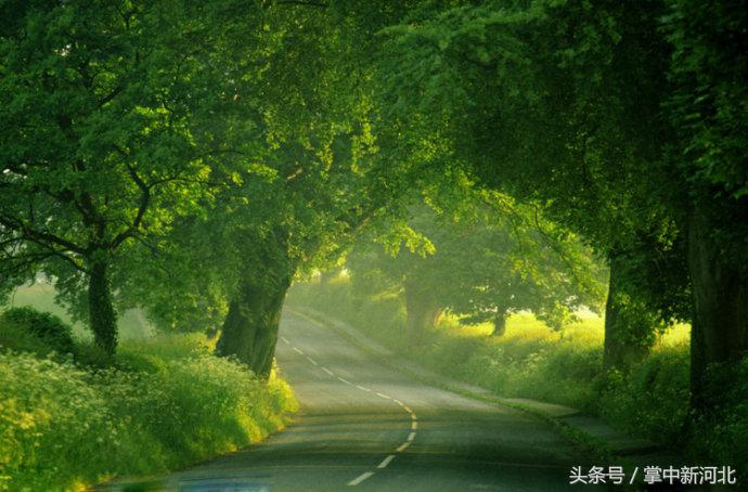 阴道竟然如此美丽