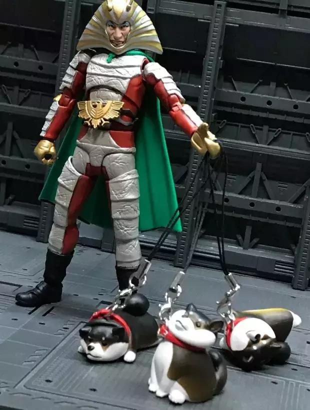 柴犬拒绝回家了,柴犬不想回家躺在地上耍赖