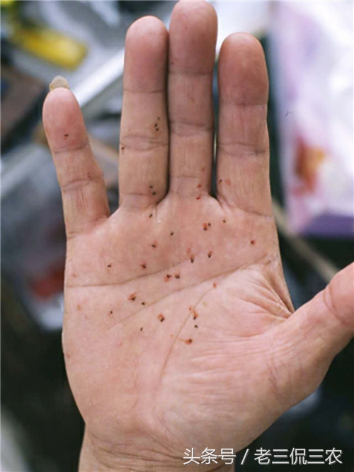 恐怖分子袭击最好躲在哪,如何防御恐怖分子