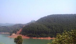 广西南宁钓鱼钓点,广西最新钓鱼技巧