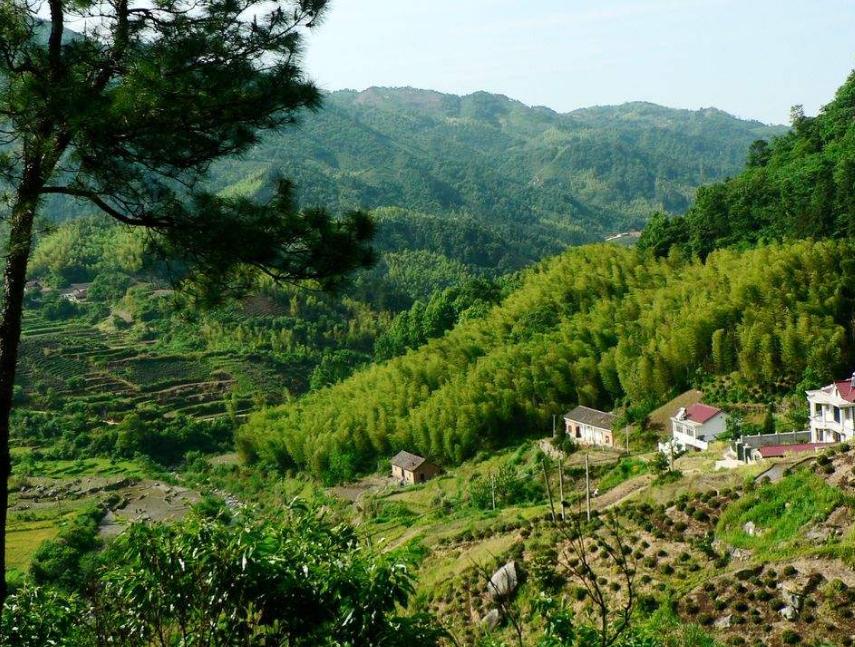 武穴出了个乡土作家，一本以武穴为背景的小说《蟹子地》……