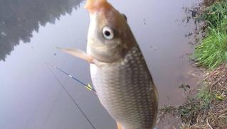 广西南宁钓鱼钓点,广西最新钓鱼技巧