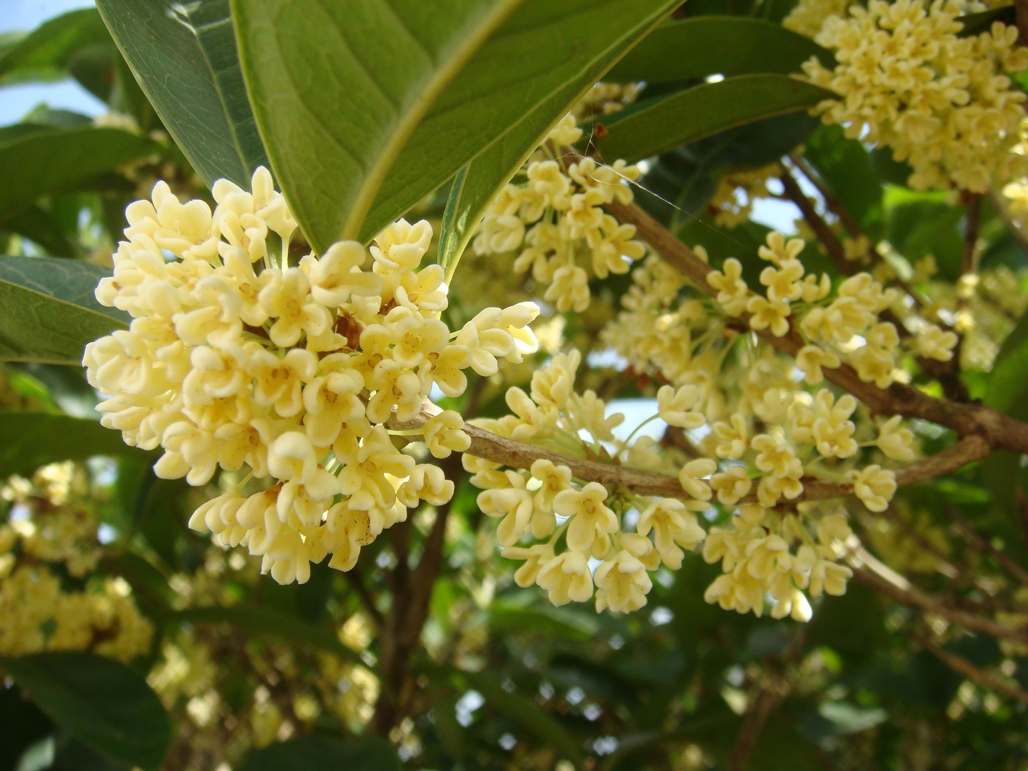 美丽江山风景区,浙江衢州江山市