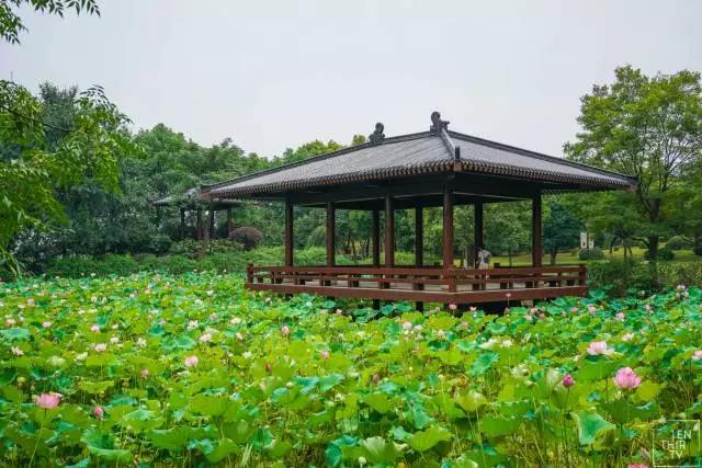 武汉在全国的gdp地位,武汉市13个区的gdp排名