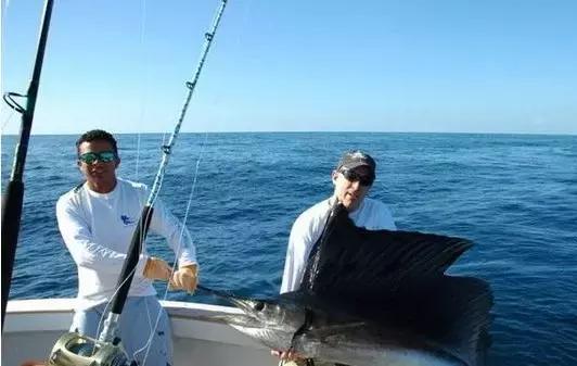 帕劳的旅游咋样,帕劳森旅游攻略