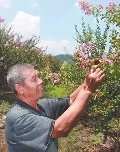 捐款15亿美元，中国园林皇后火爆国外：女性创业，注意哪些事项？